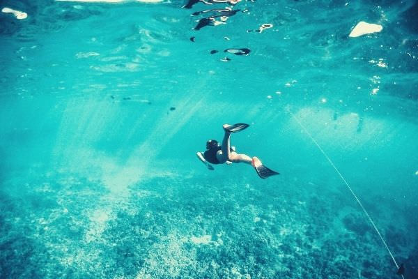 man-free-diving-fish-ocean-instagram-captions