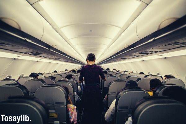 person flight attendant in purple red uniform standing inside the airplane