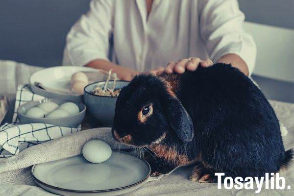 woman in white touching a black rabbit looking at the egg