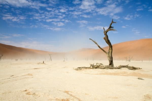 03 windy sossusvlei desert namibia