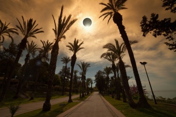 amazing scientific background total solar eclipse trees road