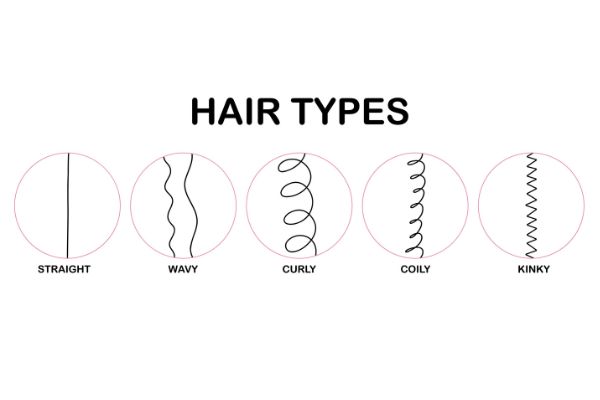 hair types classification straight wavy curly vector