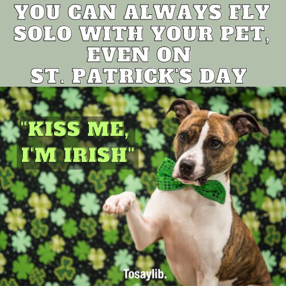 fly solo with pet kiss me Im irish