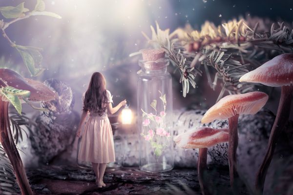 pink dress shining lantern hand walking fairytale