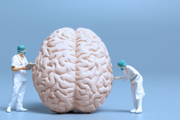 Doctor Figurines Examining Brain size weight